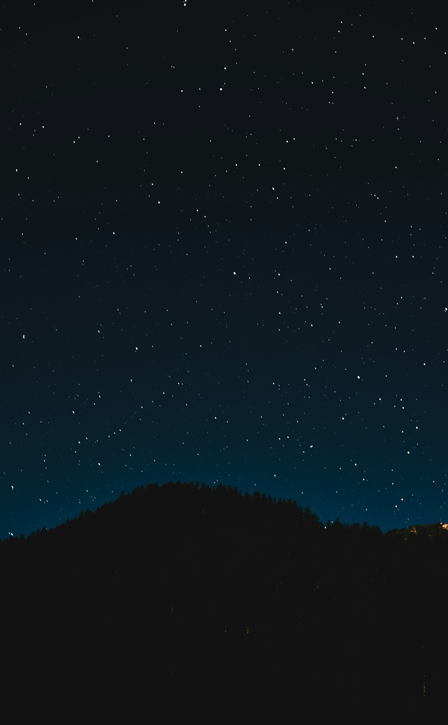 The Aesthetic Harmony of Dark Blue and White